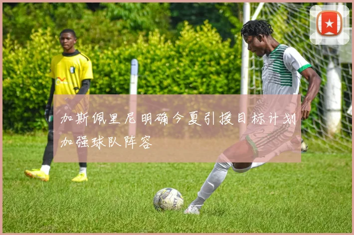 加斯佩里尼明确今夏引援目标计划加强球队阵容