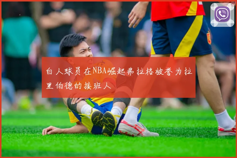 白人球员在NBA崛起弗拉格被誉为拉里伯德的接班人