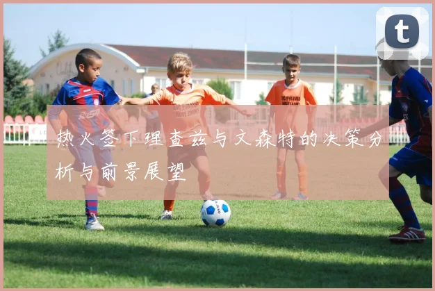热火签下理查兹与文森特的决策分析与前景展望